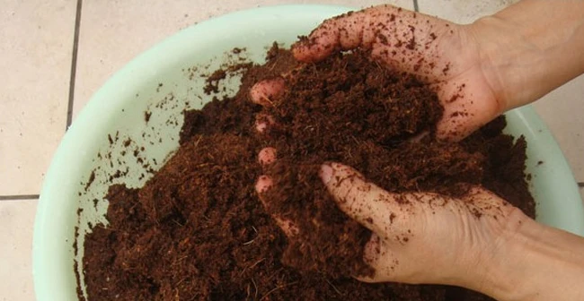 650 г натуральный сжатый кокосовый волоконный кирпич ящерица черепаха рептилия