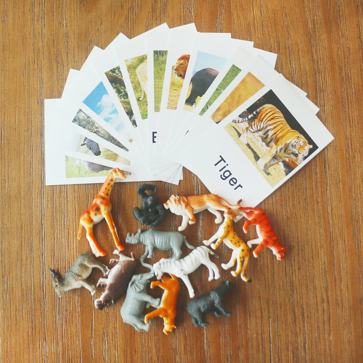 Montessori Language Materials Animal Cards Crafts Set Preschool Educational Words Learning Toys For 3 Year Olds Me1324H huismerk kopen in de aanbieding Montessori Language Materials Animal Cards Crafts Set Preschool Educational Words Learning Toys For 3 Year Olds Me1324H huismerk kopen in de aanbieding