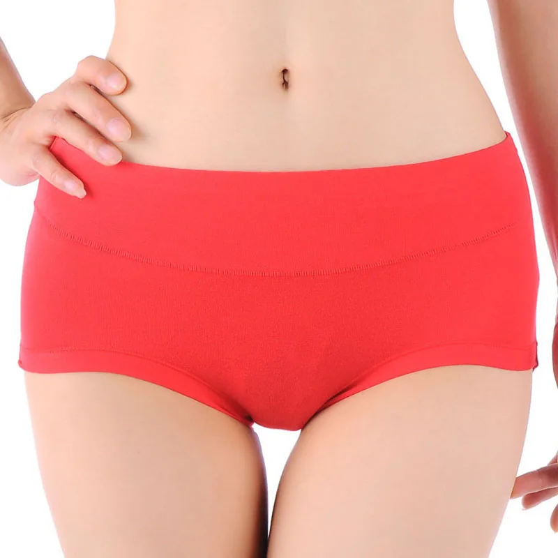 plus size women sexy panties (12)