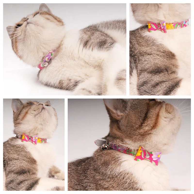 cat collar (9)
