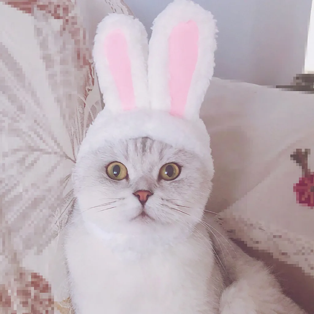 Cat Clothes Costume Bunny Rabbit Ears Hat Pet Cat Cosplay Clothes For Cat Costumes Small Dogs Kitten Costume pet products*5