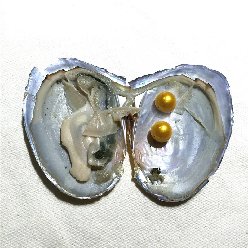 a-1 -1(2)