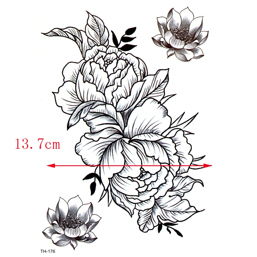 TH176-1