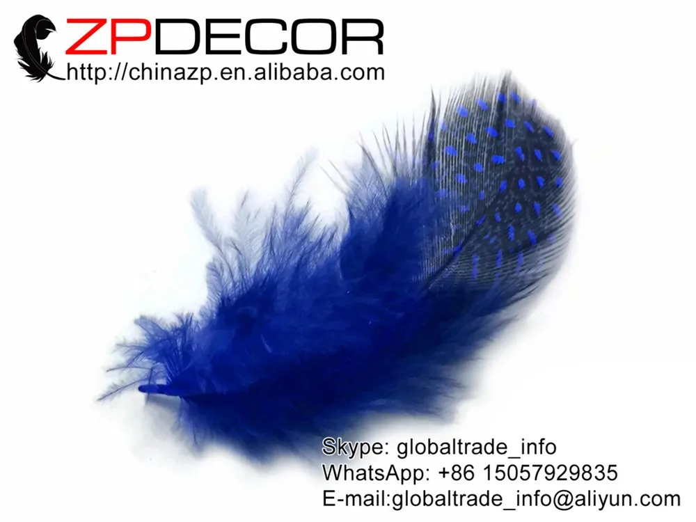 Polka Dot Feathers, 1 4 lb - ROYAL BLUE Guinea hen plumage Feathers Wholesale (bulk) 3