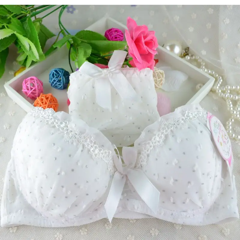 Sexy Lingerie Elegant 3/4 Cup Bra Panty Dot Lace Women Underwear Set Bra Push Up Bra Set New Sexy Lingerie Elegant 3/4 Cup Bra Panty Dot Lace Women Underwear Set Bra Push Up Bra Set New