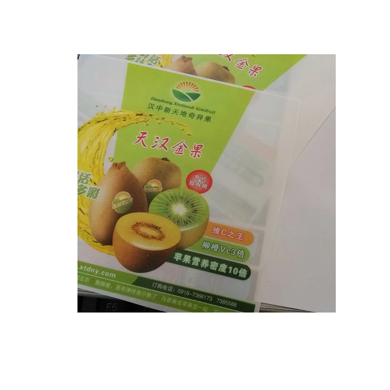 롤 포장 영구 약 병 레이블, 10Ml 유리 병 스테로이드 레이블, 의학 알 약 사용자 지정 비타민 병 레이블 스티커