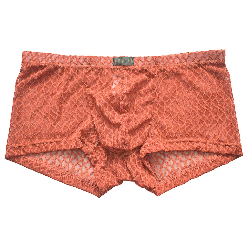 2019 Men's trousers stretch pants transparent lace swimming trunks shorts breathable swimming pants for men underwear boxer 40J9 (5)