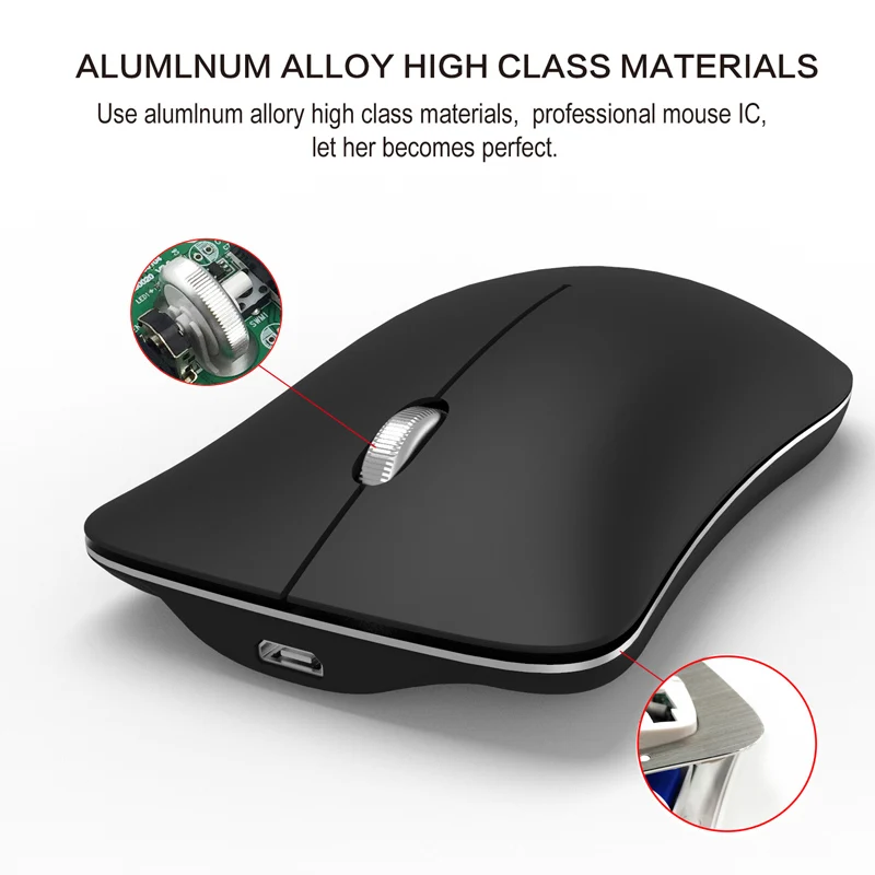 12  Due model mouse