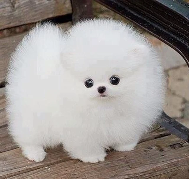 ×ª××× × ×§×©××¨×