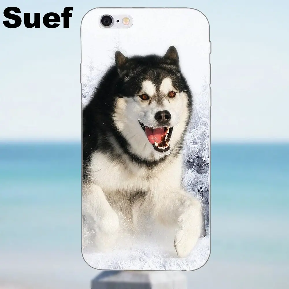 Для iPhone X 4 4S 5 5S 5C SE 6 6 S 7 8 плюс Galaxy J1 J3 J5 J7 a3 A5 Мягкие TPU узор телефон Прекрасный собаки Сибирский хаски
