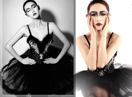 Ballet font b dress b font Adult ballet yarn costumes Black swan dance font b dress