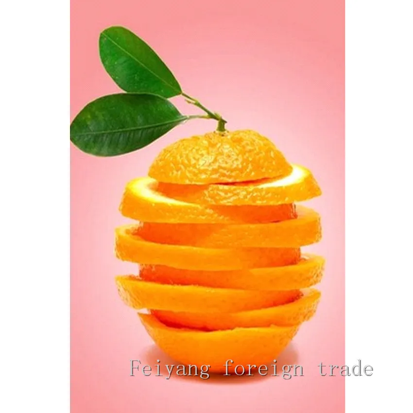 Orme Igneler Diy Elmas Boyama Igne Diy5d Dekoratif Oturma Odasi