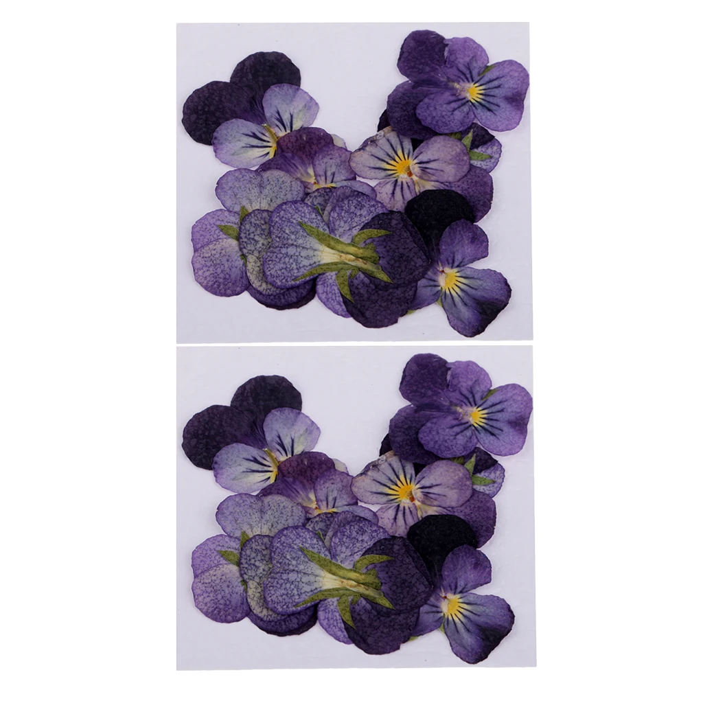 24 Pcs Violet Natural Real Dried Flowers For DIY Crafts Scrapbooking Nail Art Jewelry Making Resin Casting  DIY Necklace Pendant