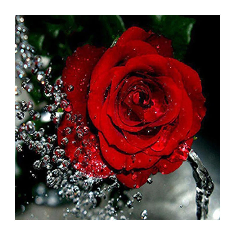 

5d diamond painting cross stitch diamond embroidery red rose flower round diamond mosaic diamond embroidered kit flowers gift