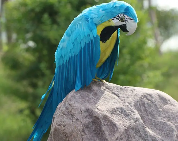 Большой моделирования синий попугай модель полиэтилена и меха творческие крылья птицы подарок около 50 см 2248