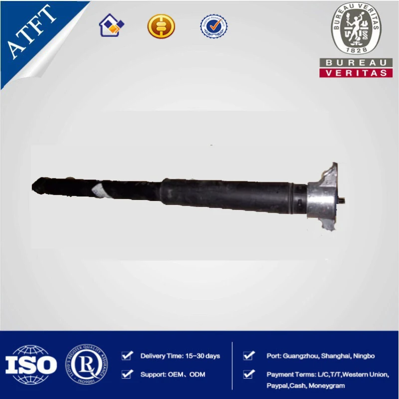 Engine Parts Front Right and Left Shock Absorber Core OEMBV6118080GAB