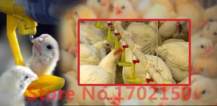 10 наборов курица поилка желтый шар поилка ниппель курица инструменты