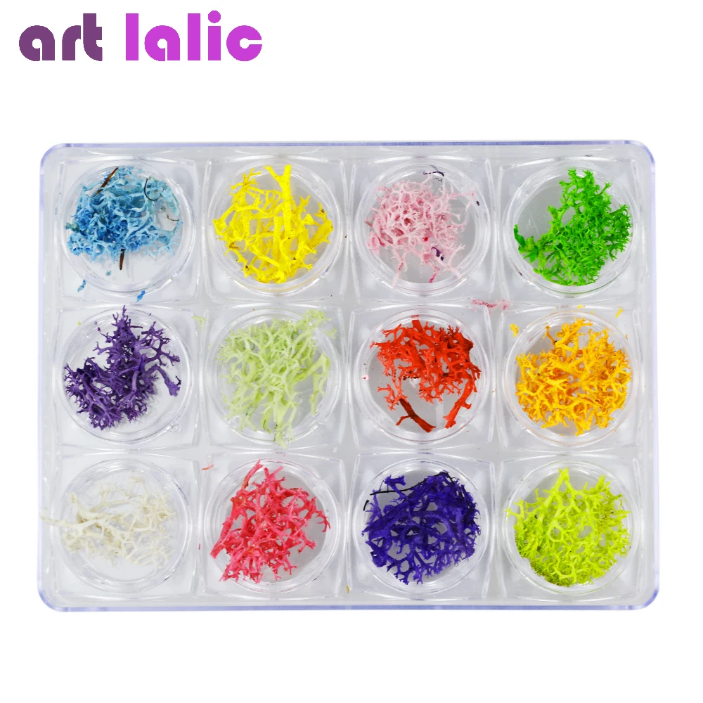 Artlalic, 12 цветов, Натуральный Коралл, 3D, для дизайна ногтей, морские водоросли, сухие консервированные цветы, кончики для украшения ногтей, аксессуары для самостоятельного маникюра