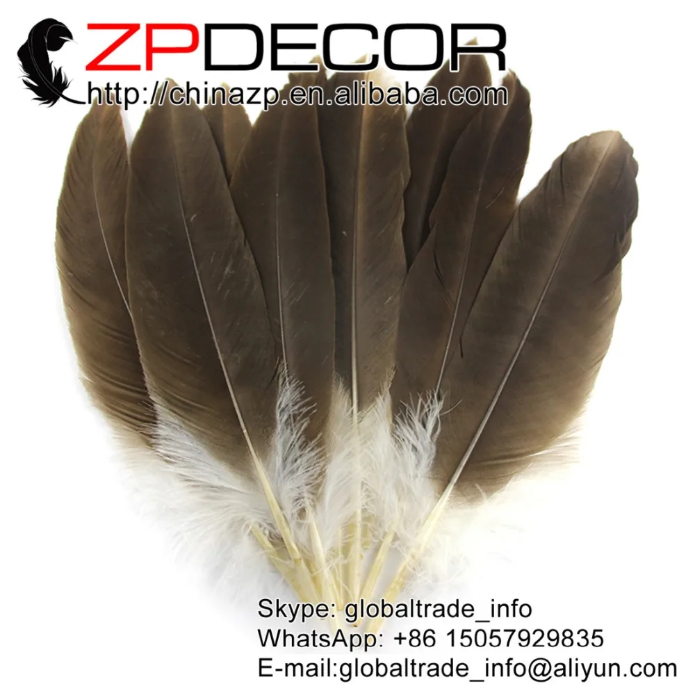 ZPDECOR перо 50 шт./лот 30 40 см (12 16 дюймов) ручной выбор высокое качество редкие и