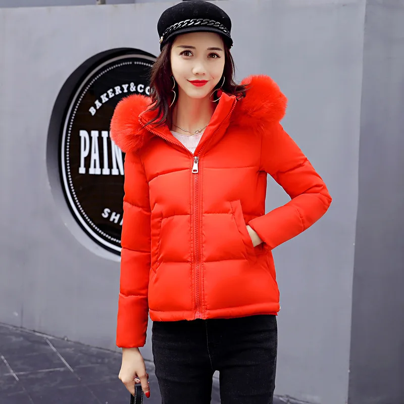 M-2XL, новинка, большой меховой воротник, с капюшоном, женская зимняя куртка, короткая, тонкая, хлопок, пальто для женщин, утолщенная, теплая, повседневная, пуховик, хлопок, парка - Цвет: orange red