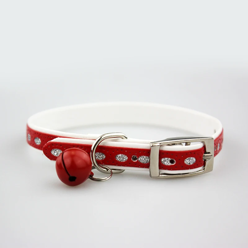 dog collar 4