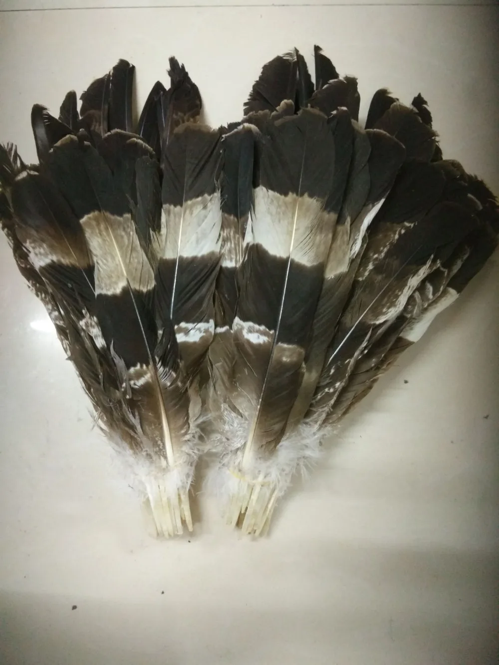 50 precious natural Snake eagle feathers feathers, 12 18inches/30 45cm