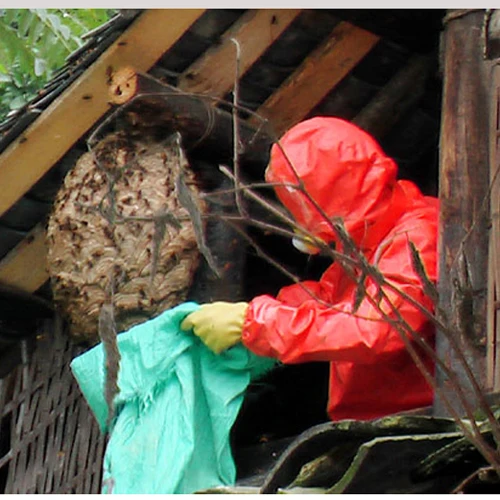 Wasp suit anti bee suit Siamese anti bee suit wasp clothing protective