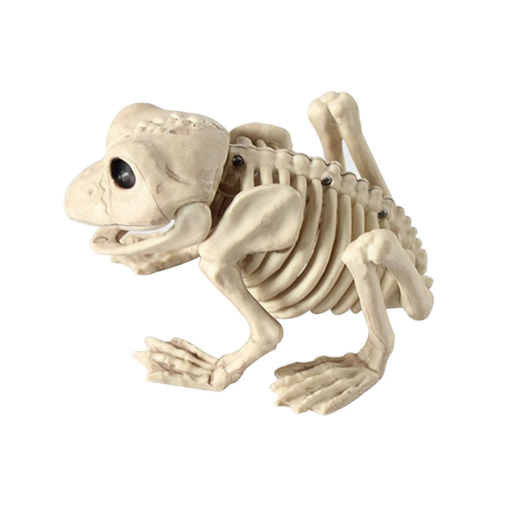 

Animal Skeleton Model Bat/Frog/Lizard Bones Halloween Party Decoration E2S