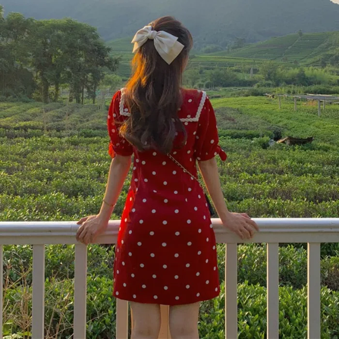 

Smart , Platycodon Grandiflorum French Retro-style, Slim Summer Navy Collar, Short Sleeve Wave Point A-shaped