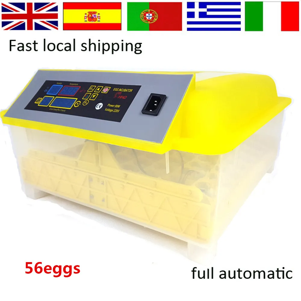

China made 56 Mini Chicken Egg Incubators Sale Turning Motor Control Tray Automatic for Duck Pigeon Quail Parrot Incubation