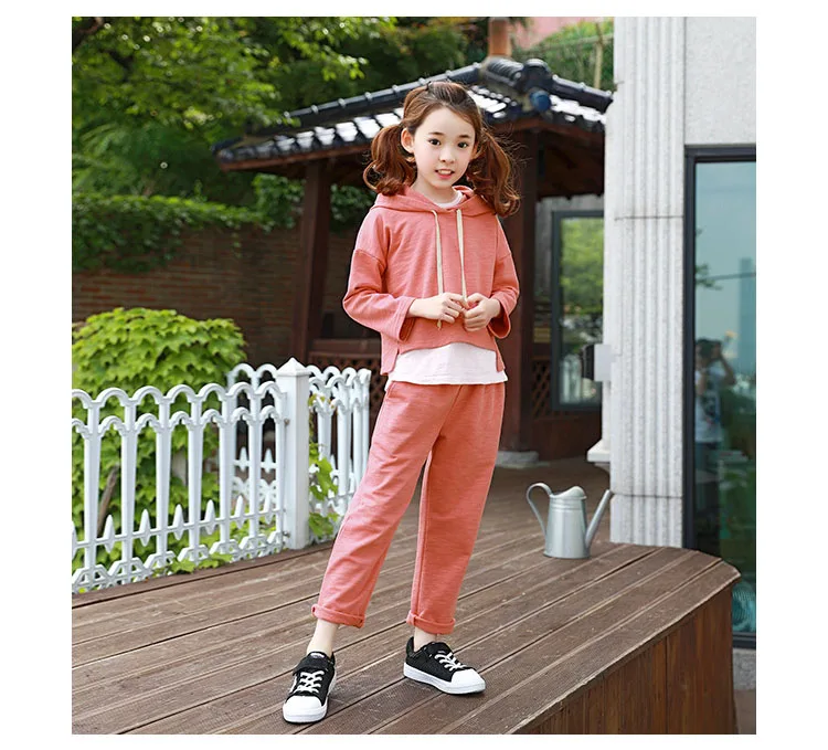 baby teenage girls clothing sets girl sport suits children clothing sets 2017 Brand New hooded kids clothes set hoody and pants  4 5 6 7 8 9 10 11 12 13 14  years old little big teenage girls tracksuits sets sports clothes  (19)