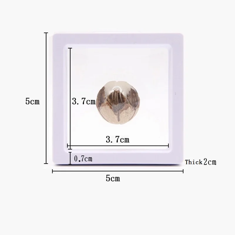 

Jewelry Showing Retail Box For Making Up The Balance Of The Transparent Jewelry Display Box Suspended Floating Holder Case
