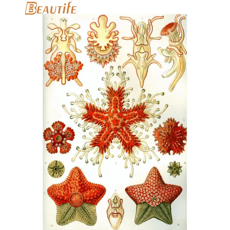 Изготовленный На Заказ энст haeckel Морская жизнь шелковая ткань плакат украшение