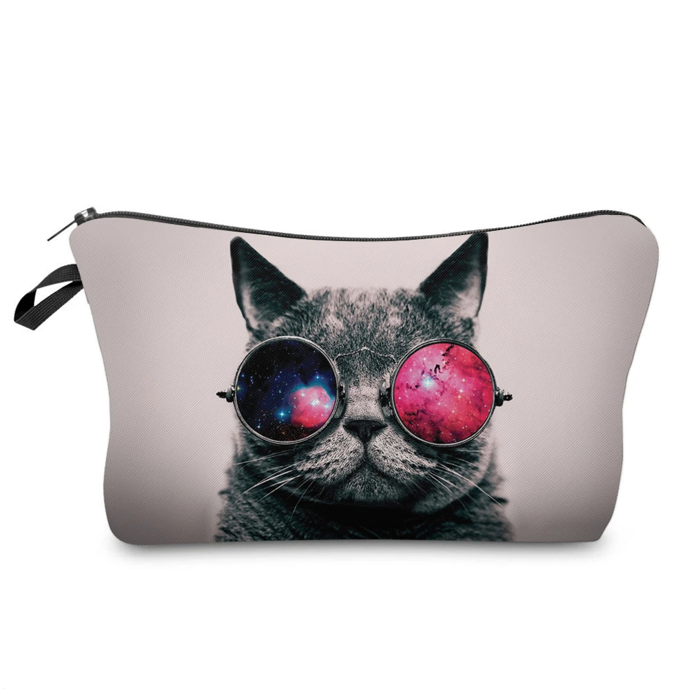 50178 sunglsses cat