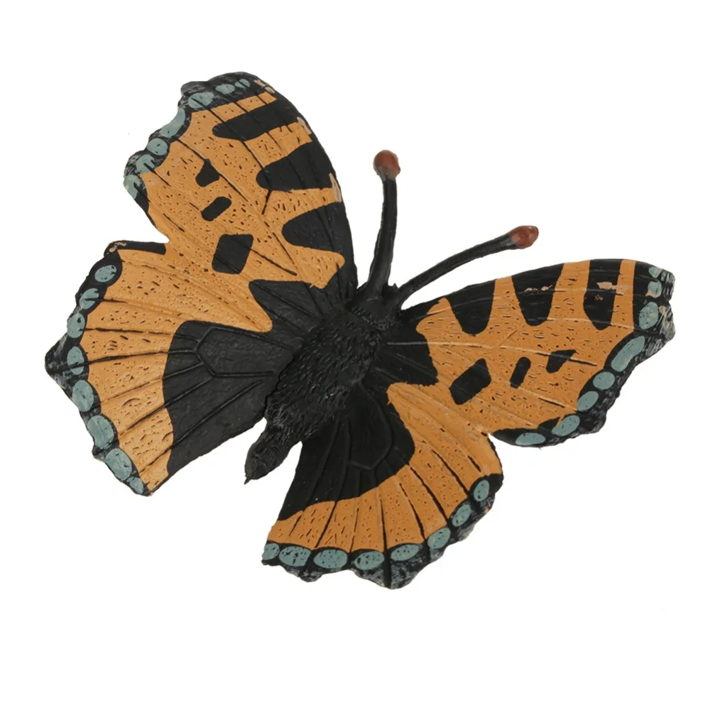 BB01395-6
