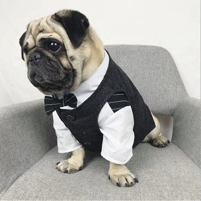 2018 Одежда для собак красивый свадебный костюм благородных жилет французского