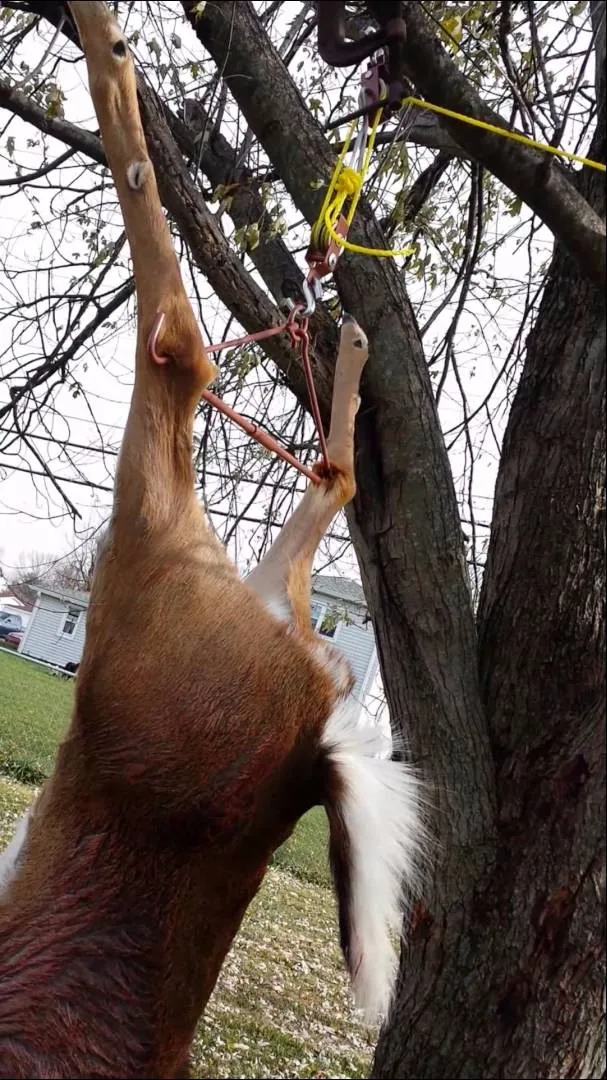 Tourbon Охотничьи аксессуары 440LB сверхмощная Лебедка для оленей Gambrel поворотное сцепное устройство подъемная система шкив козий скобы вешалка