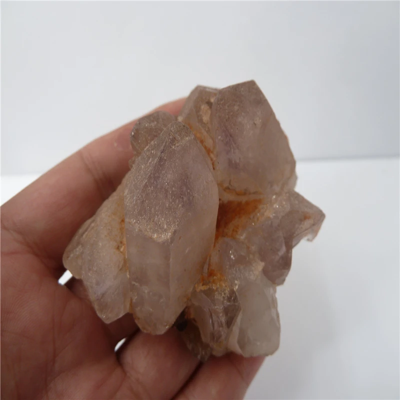 P1500583