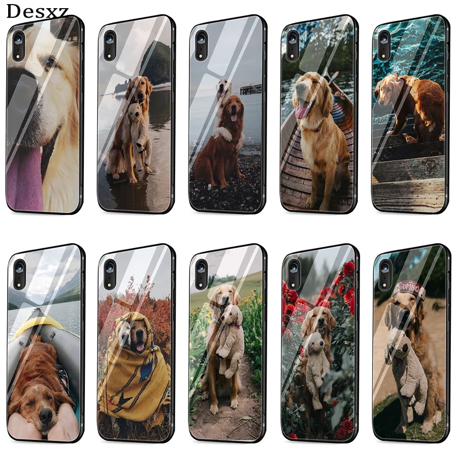 Чехол из закаленного стекла Desxz Dog golden retriever для iPhone 6 6S 7 8 Plus X XS Max XR 5 5S SE |
