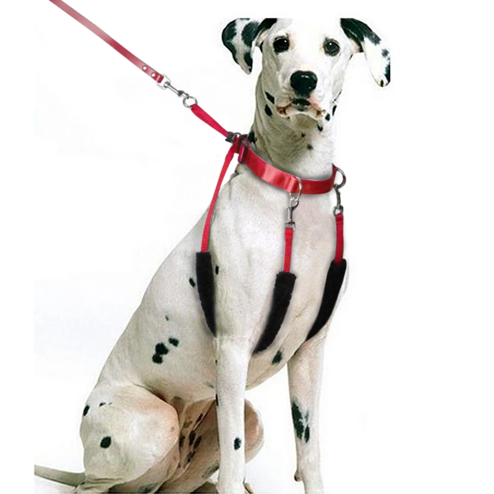 Best Dog Grooming Shoes Best Dog Grooming Shoes