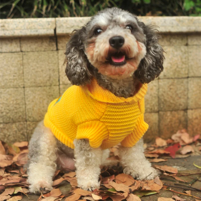 yellow dog jumper