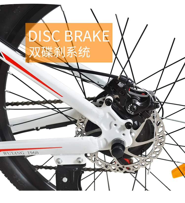 Best 26inch electric mountain bicycle 48V Anti-theft chassis hidden lithium battery Front rear Suspension ebike 25km/h pas rang 60km 20 Best 26inch electric mountain bicycle 48V Anti-theft chassis hidden lithium battery Front rear Suspension ebike 25km/h pas rang 60km 20