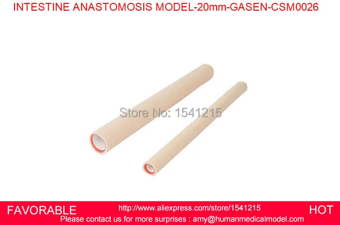

NURSING MEDICAL TRAINING MANIKINS NURSING TRAINING MANIKIN MEDICAL HUMAN ORGAN MODELS INTESTINE ANASTOMOSIS MODEL-GASEN-CSM0026