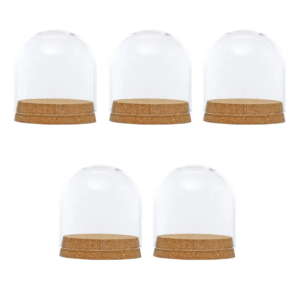 MagiDeal 5x стеклянный дисплей Cloche колокольчик купольная деревянная основа
