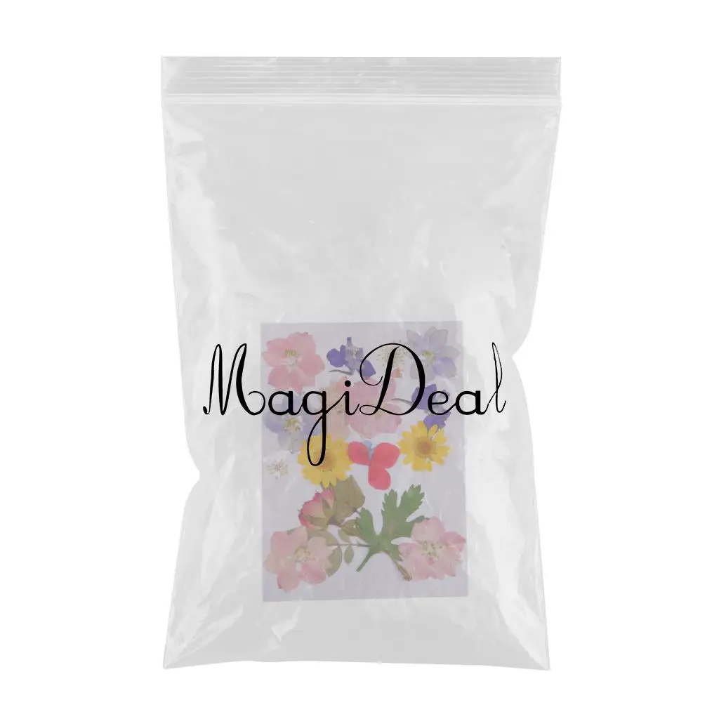 MagiDeal Multi Kind Pressed Real Dried Flowers Leaves DIY Phone Case Scrapbook Crafts Artificial Flowers For DIY craft Projects