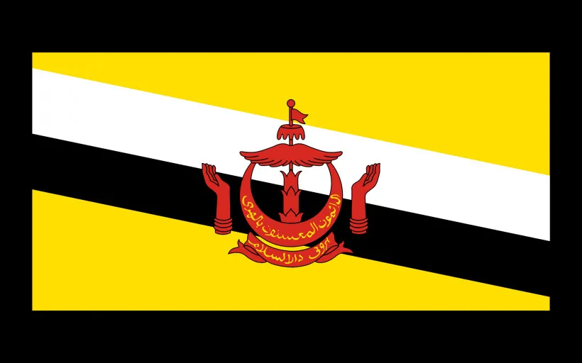 Bahrian Japan Vietnam Sri Lanka Laos, PDR tadzhiskistan Бруней-Maldives Myanmar Национальный флаг баннер 21*14 см - Цвет: GQ116