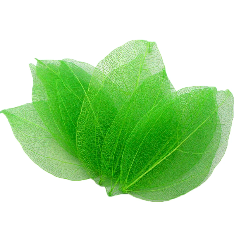 36 шт. Приблизительно 6,5*3 см многоцветный на выбор натуральный каркас листьев для DIY C0704