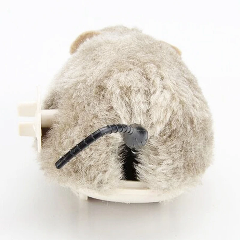 4657411094_1665238694