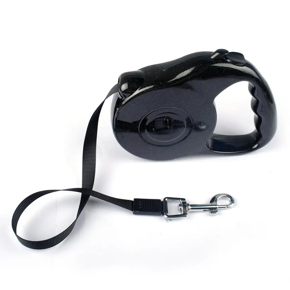 Walking Dog On Retractable Leash Walking Dog On Retractable Leash