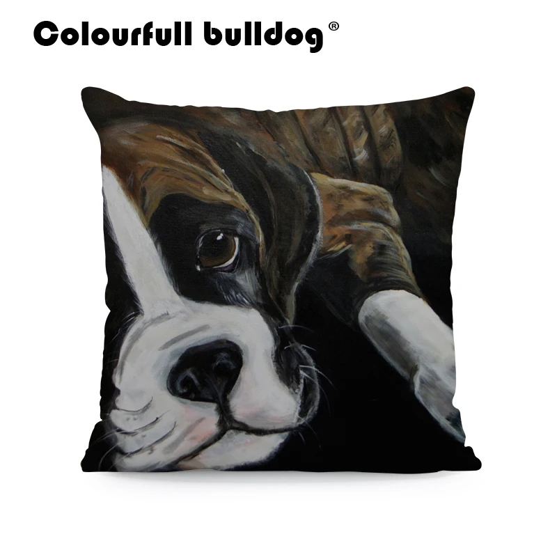 AB9166 (14) boxer dog